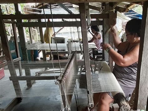 based by abacca|Revitalizing the abaca industry .